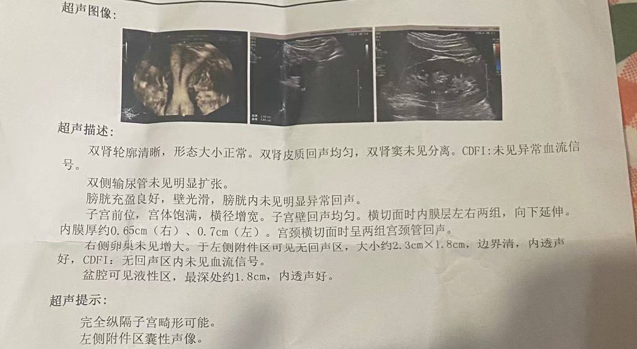 伴友 R37