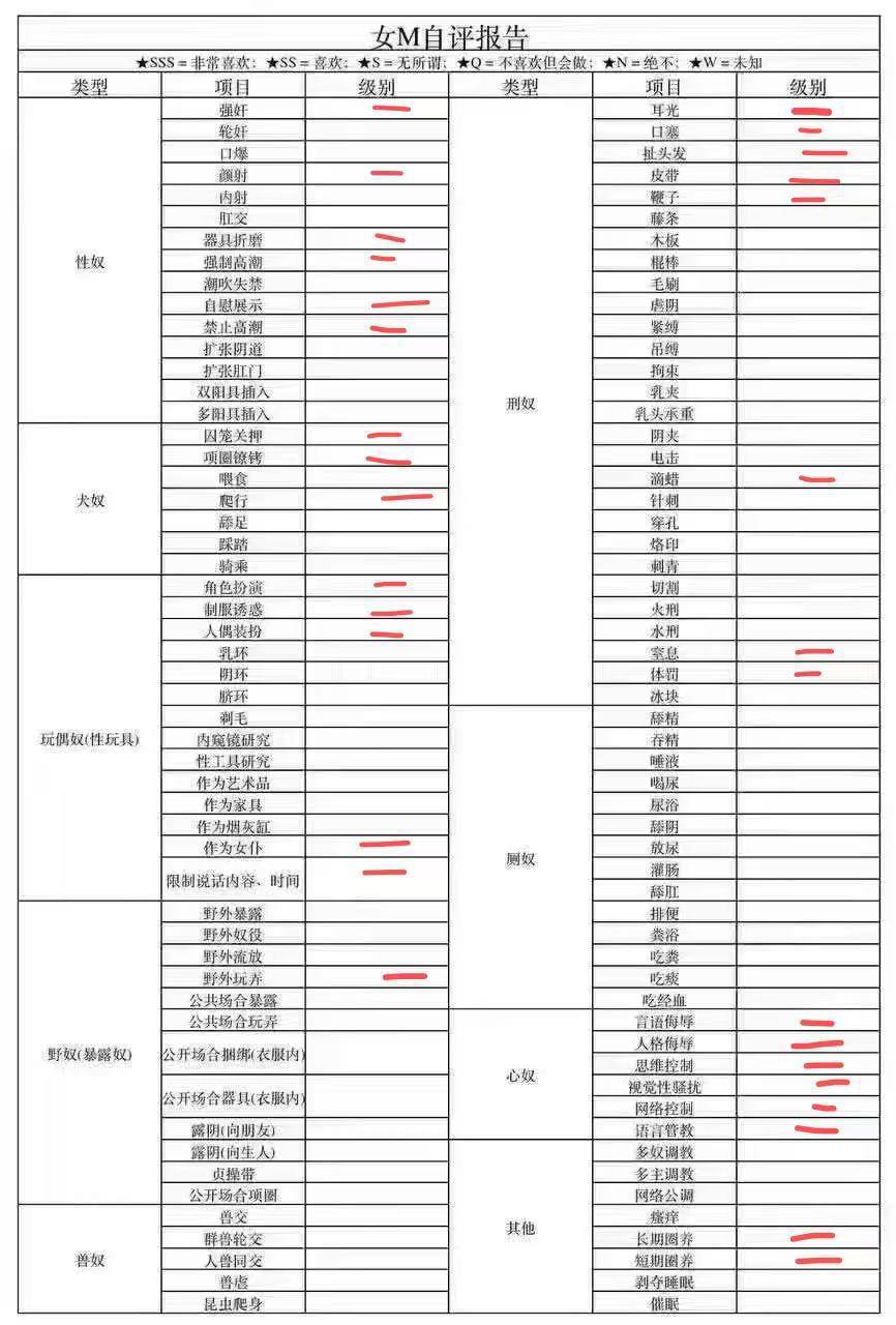 伴友 R37