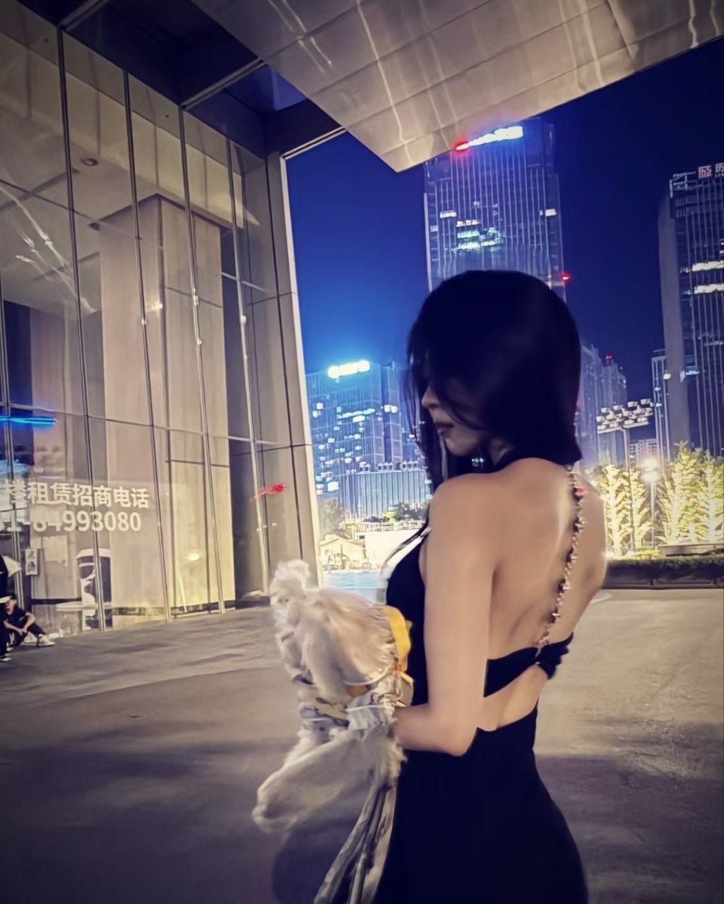 孤岛（龙）007
