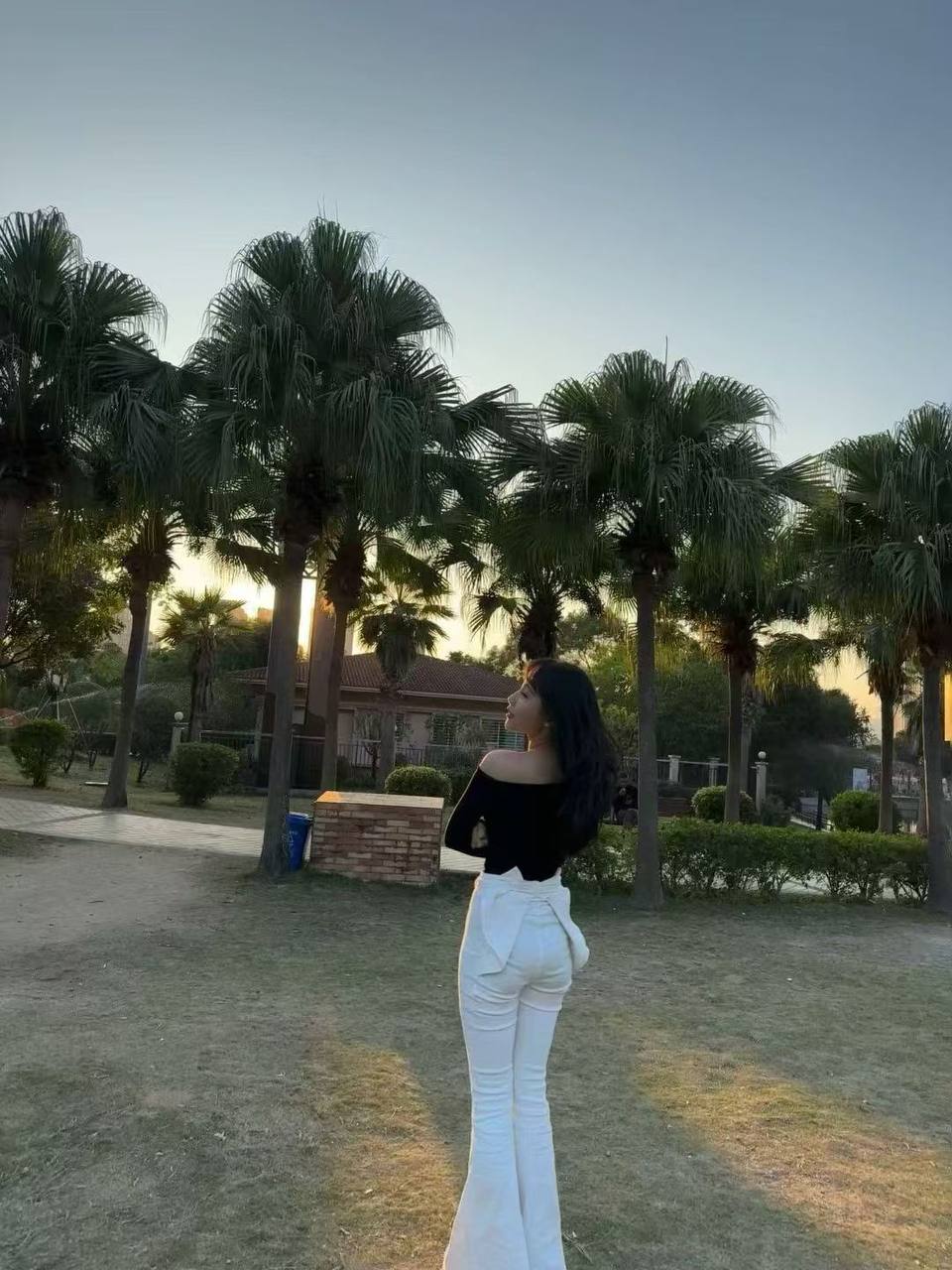 YY
