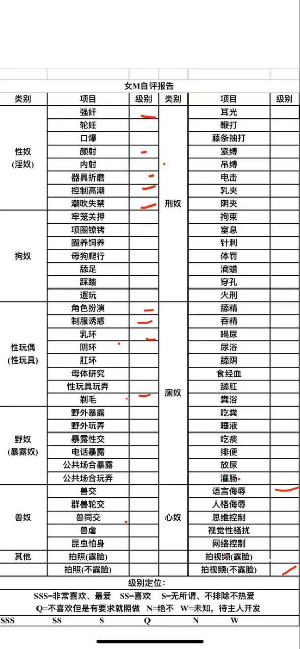 伴友 S39