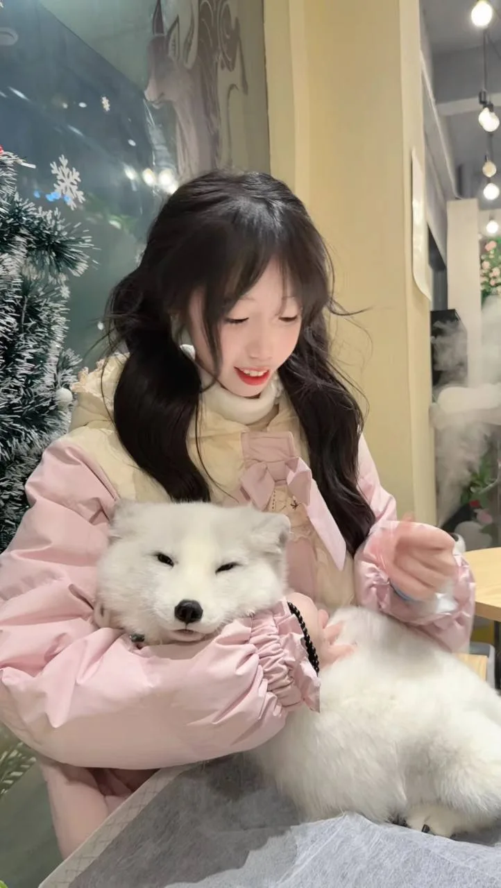 验证视频封面