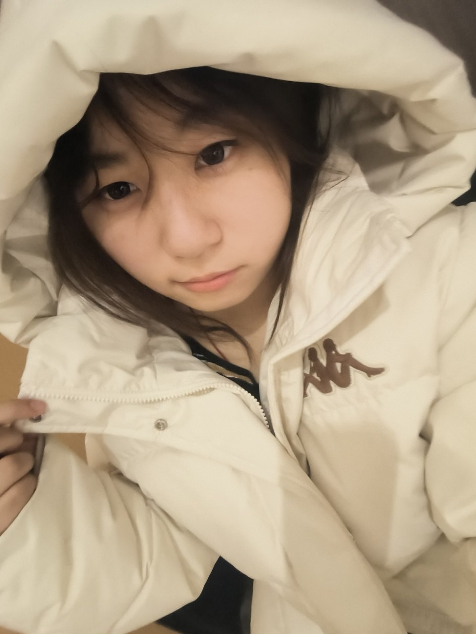 七七cc