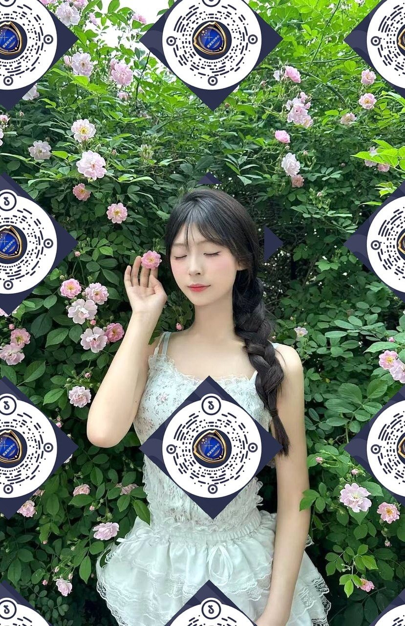 朴朴1035
