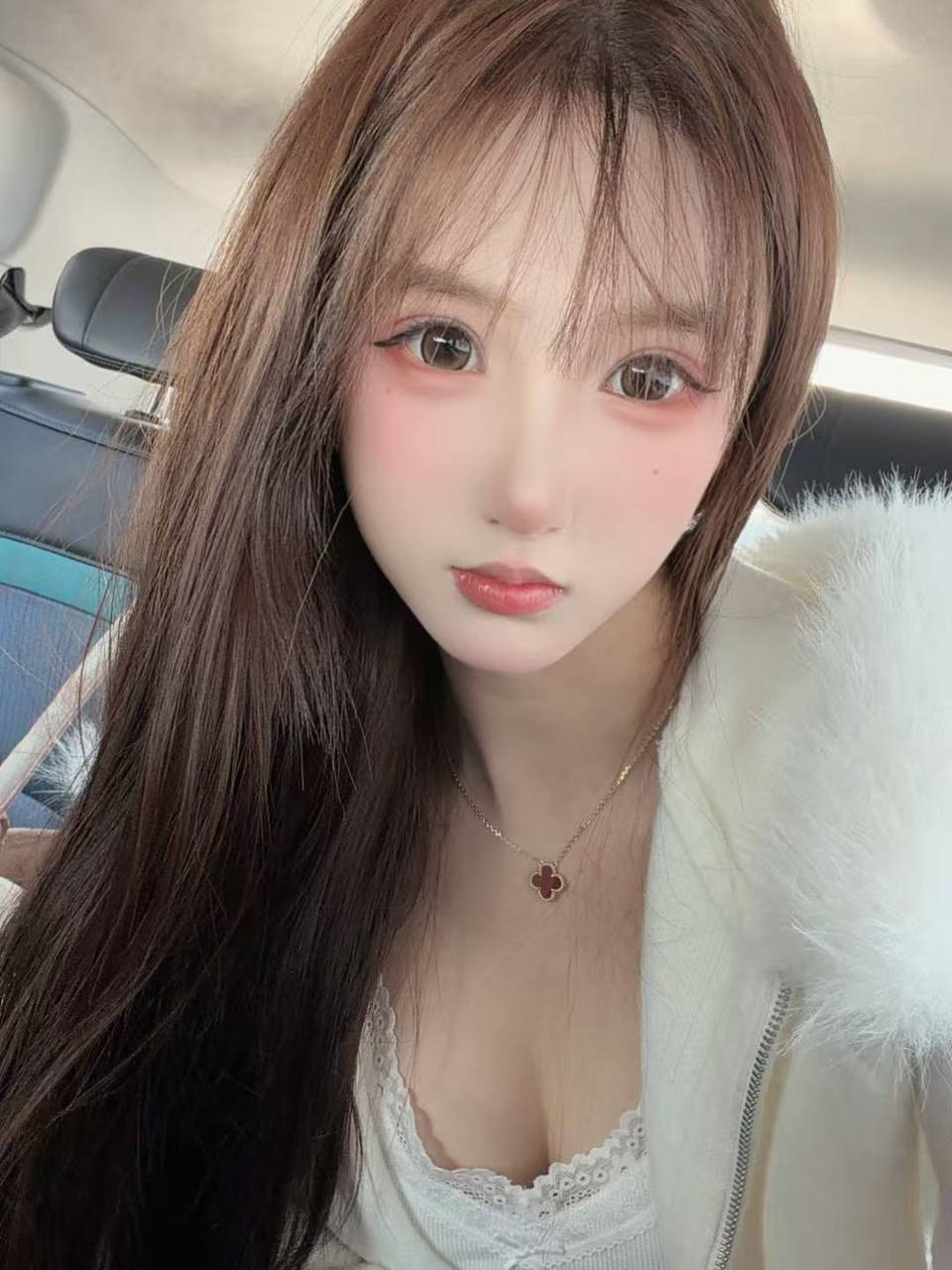 菠萝- BL-cy2