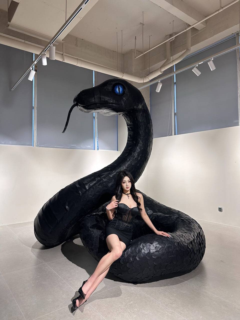 七七bbc