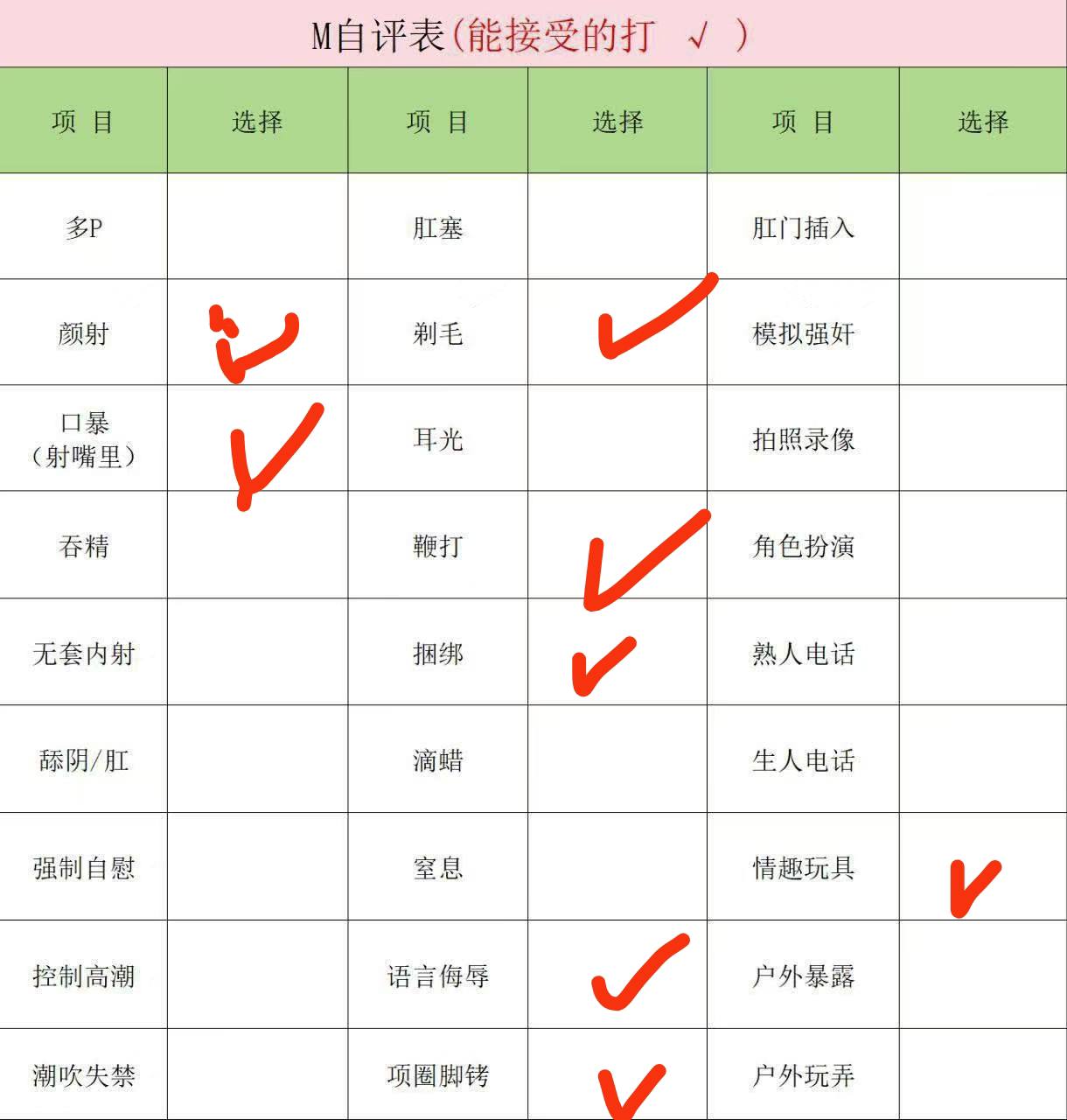 伴友 H35
