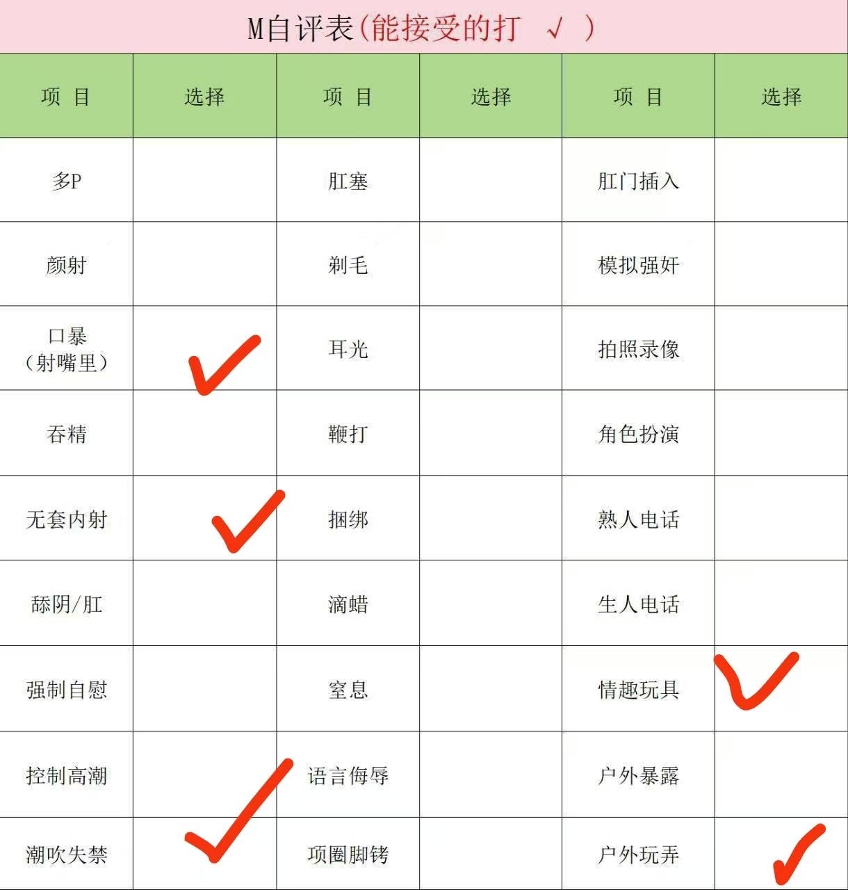 伴友 Z113