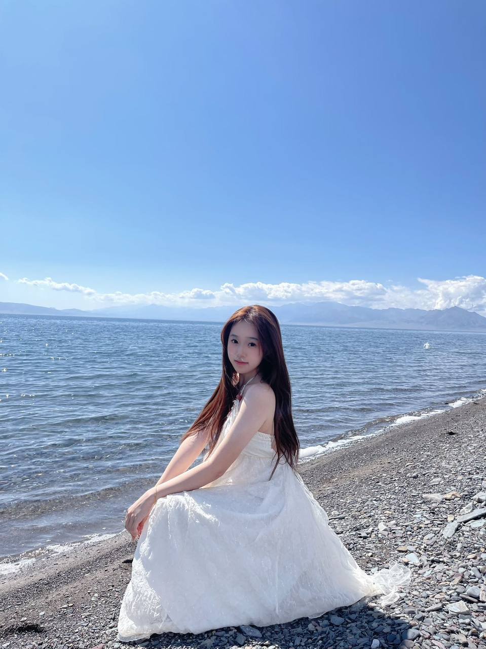 兔兔