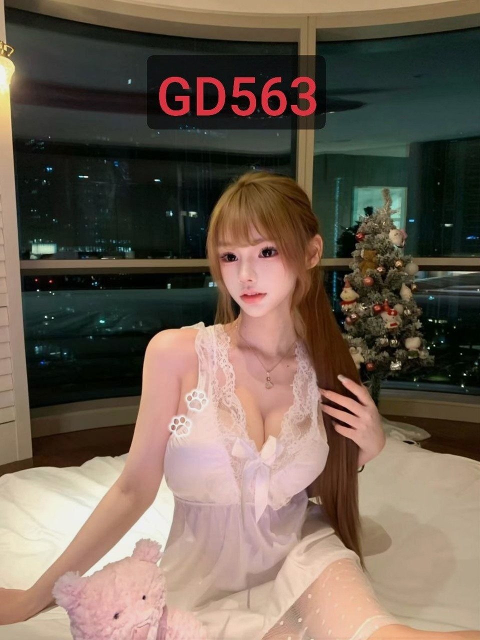 GD563