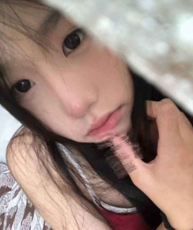豆豆