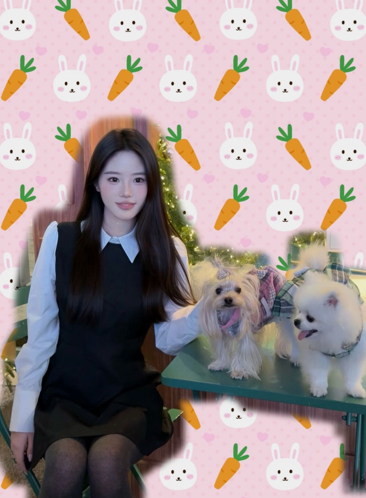 圆开心