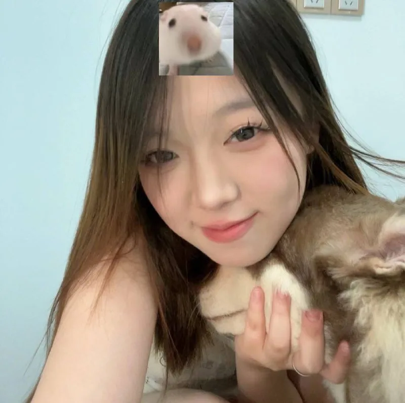 验证视频封面