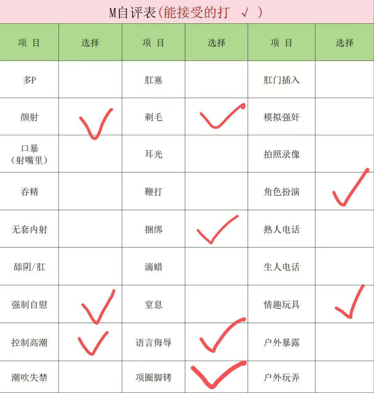 伴友 MZ26