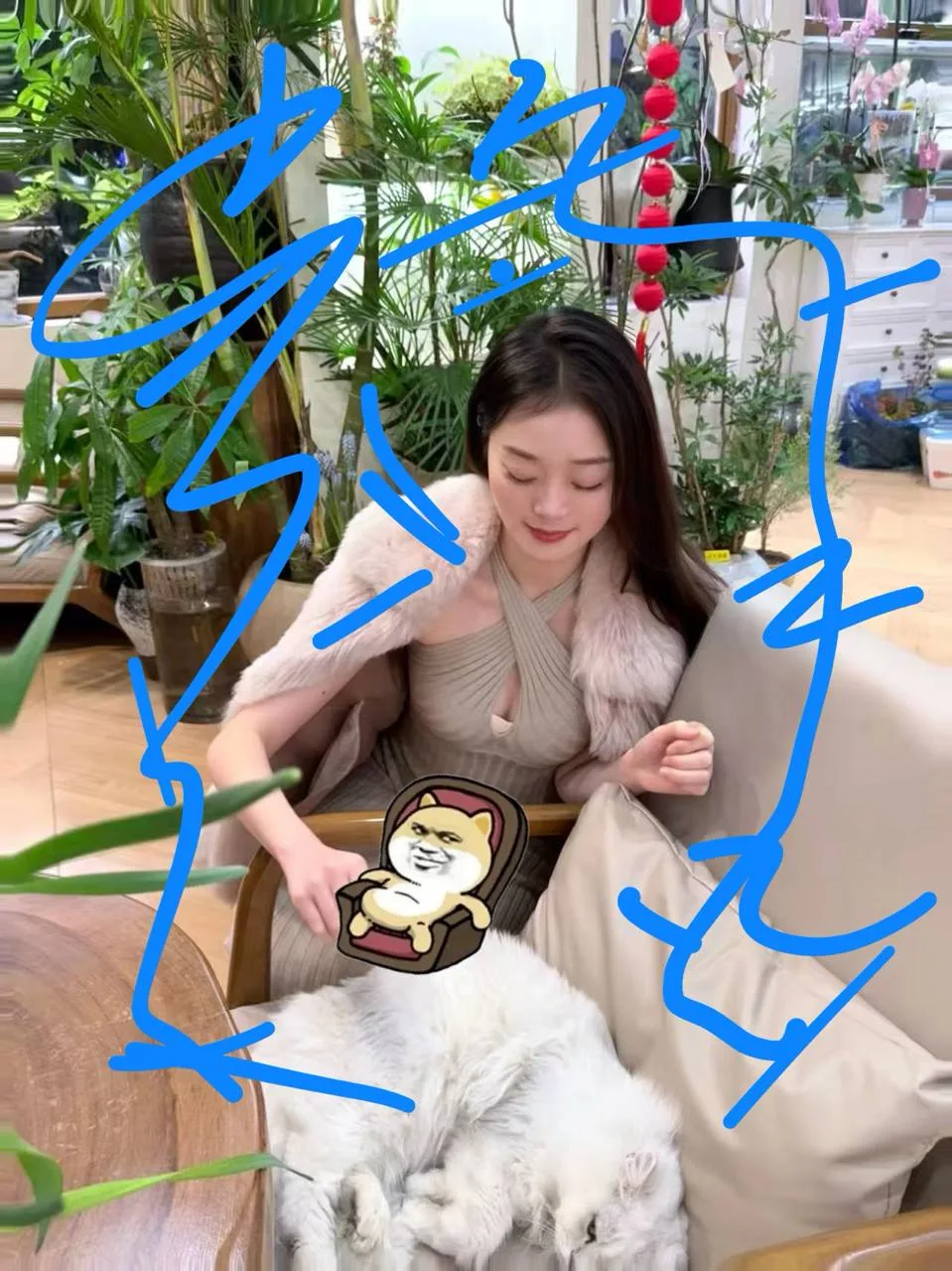 验证视频封面