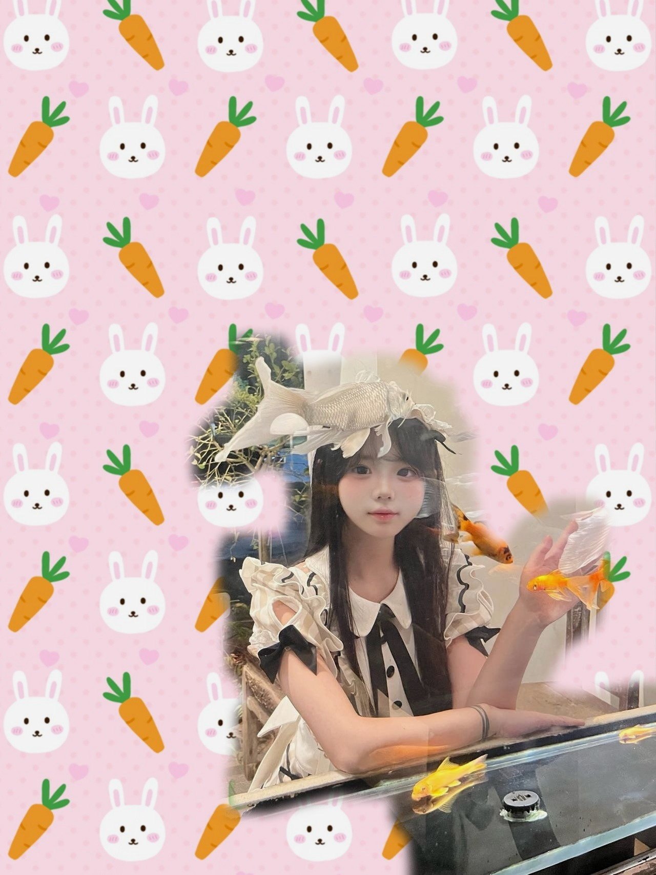 呆呆