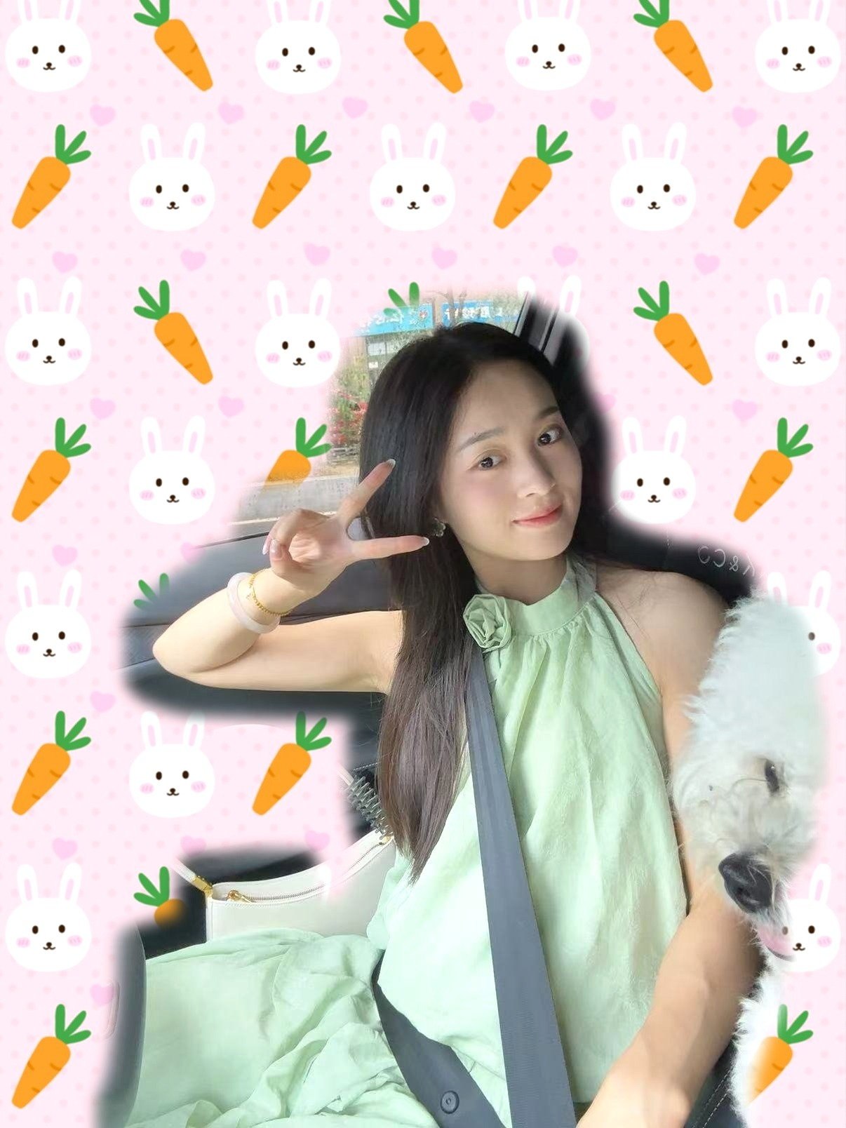 十一