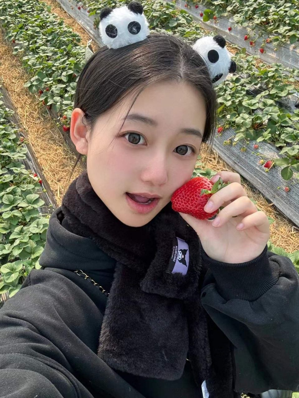 黑猫