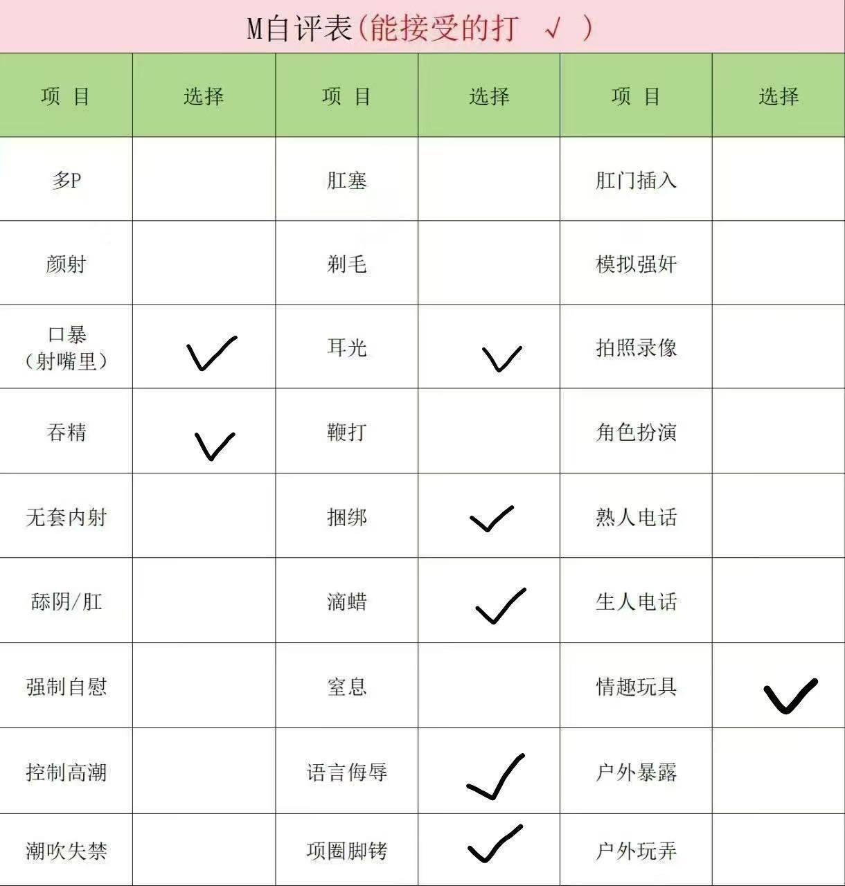 叶尔克 sm X