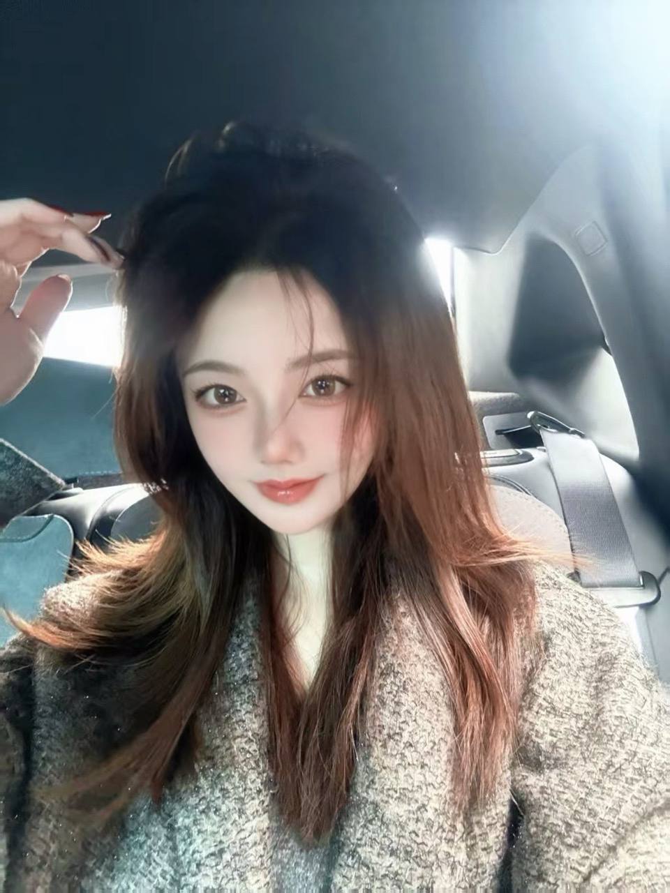 狗狗