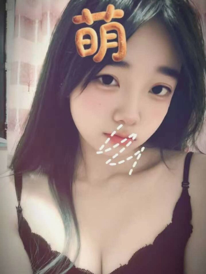朴朴667