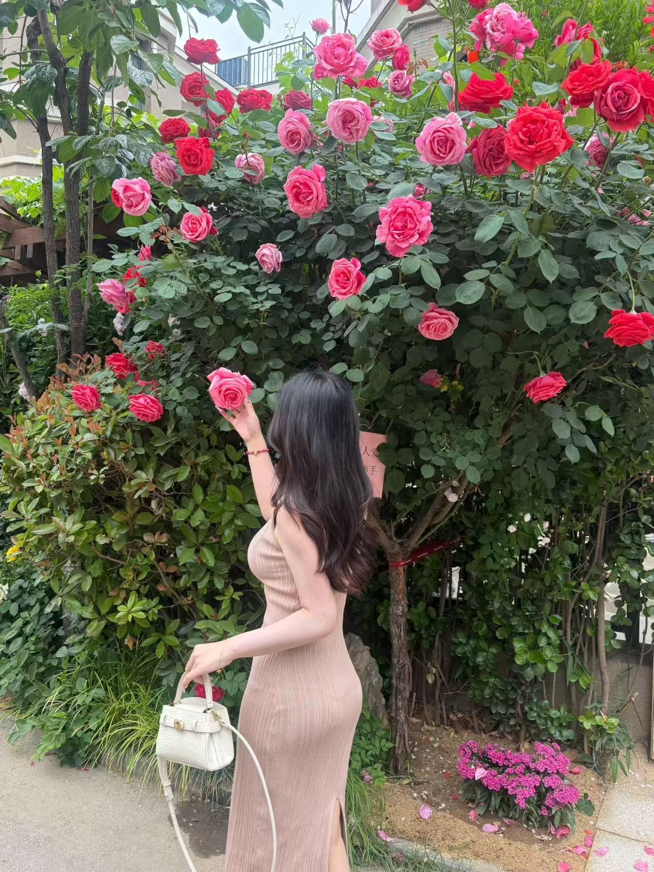chloe