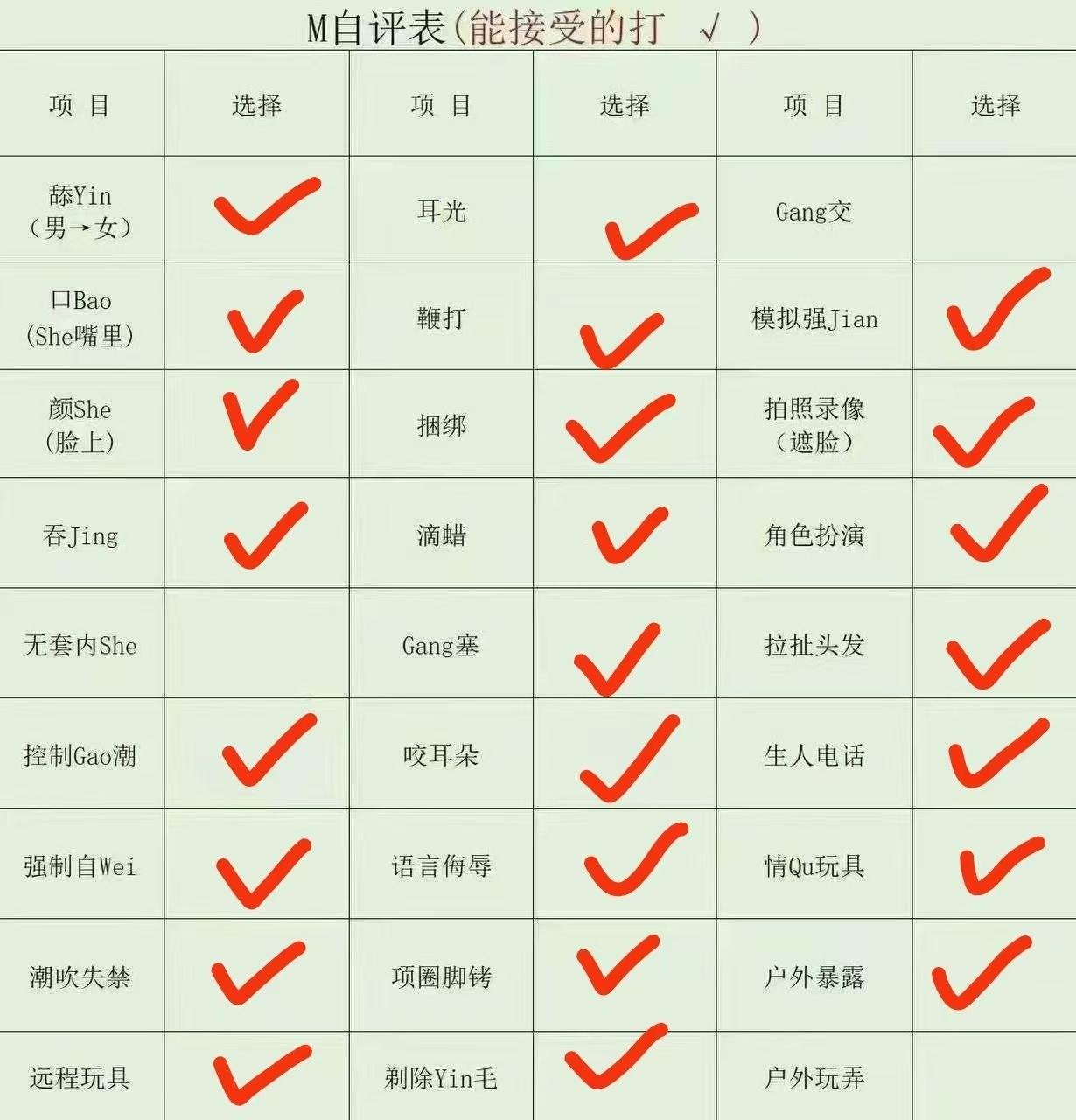 YY09