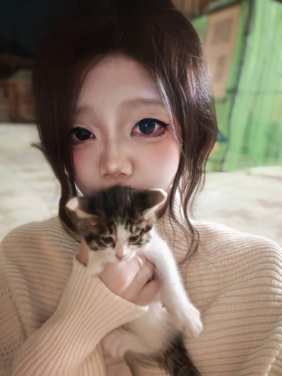 豆豆J