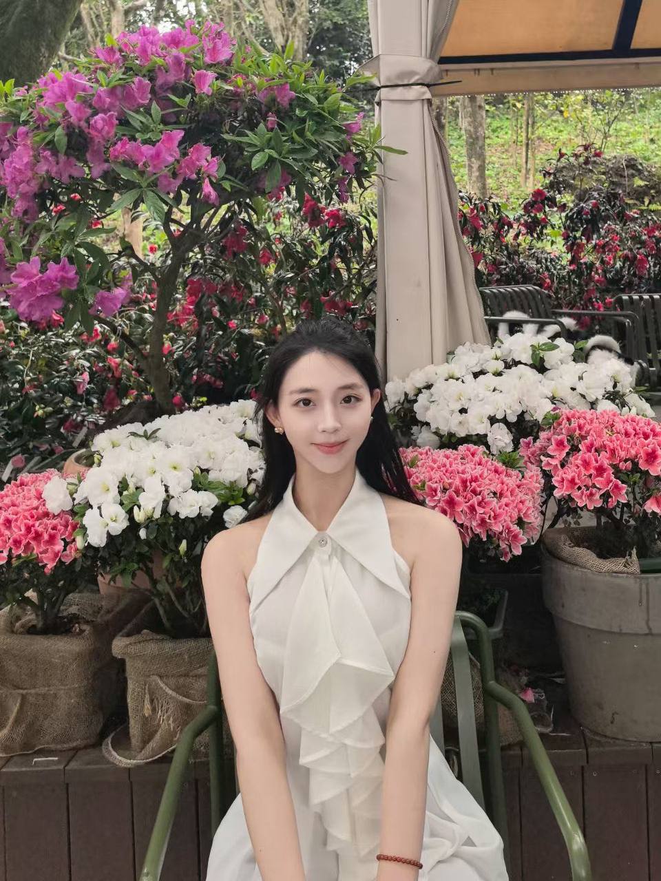 杰264