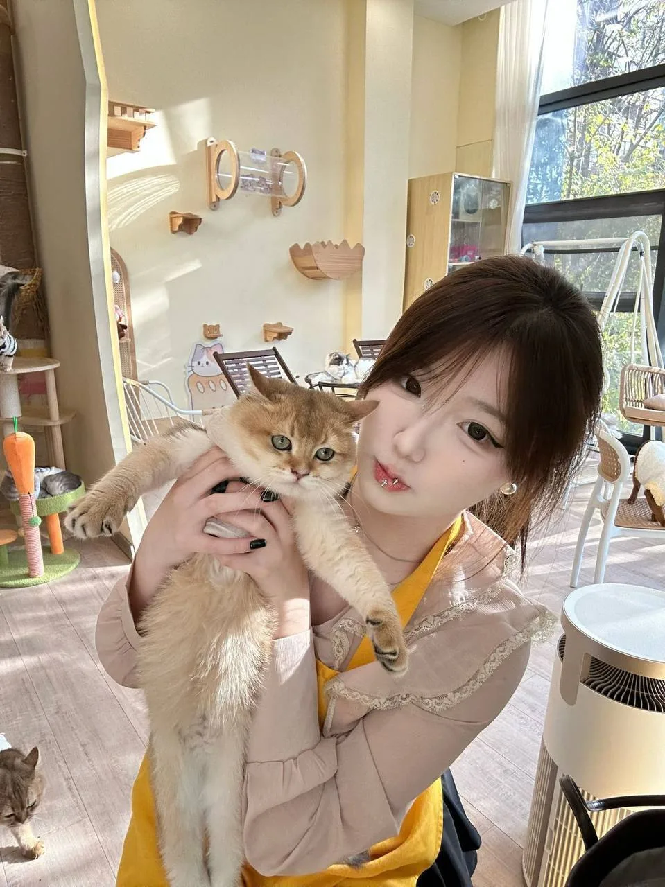 验证视频封面