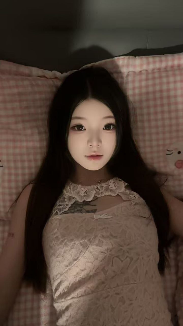 豆豆N