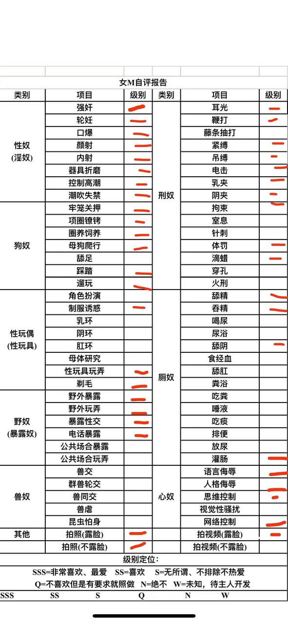 伴友 W6