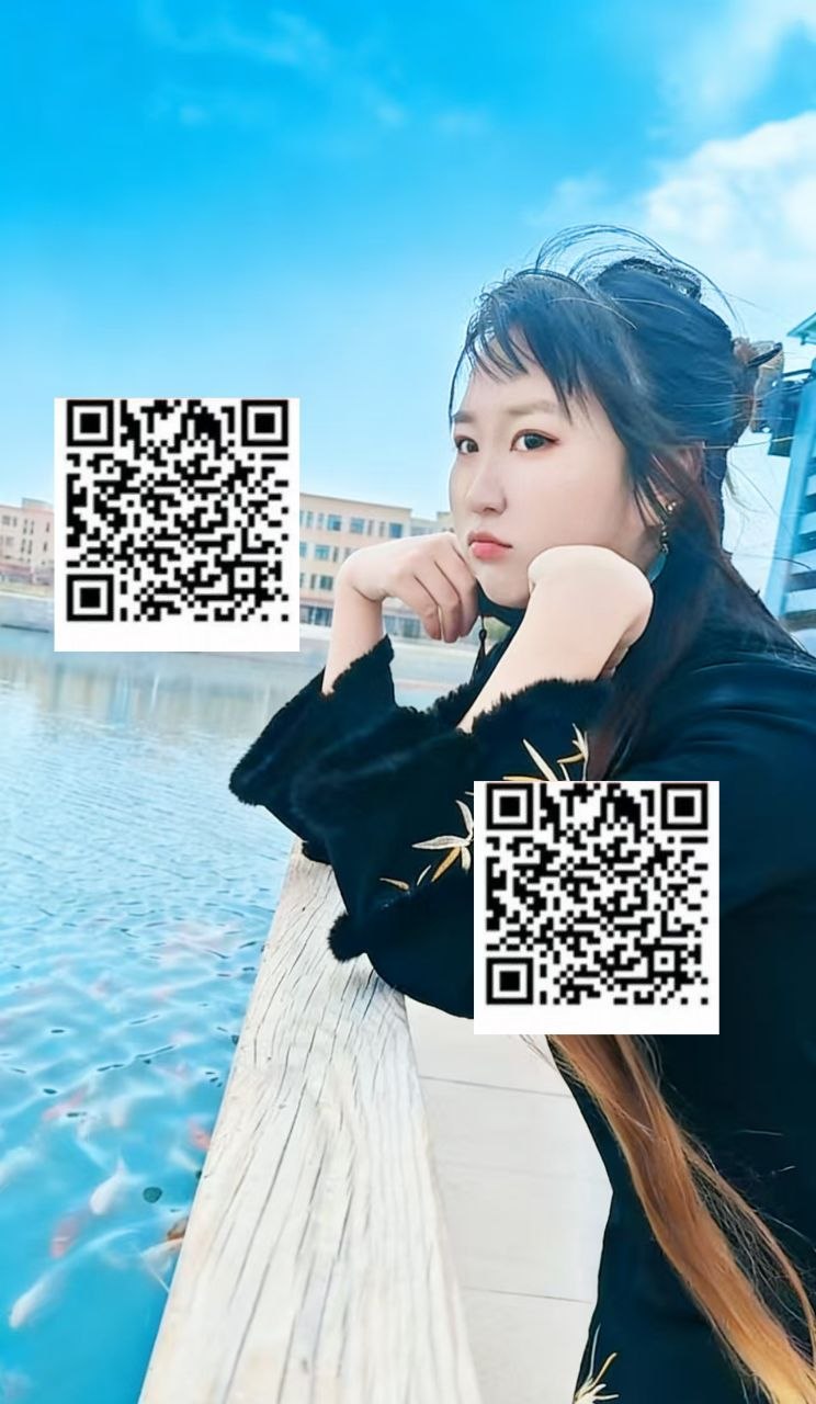 伴友 S60