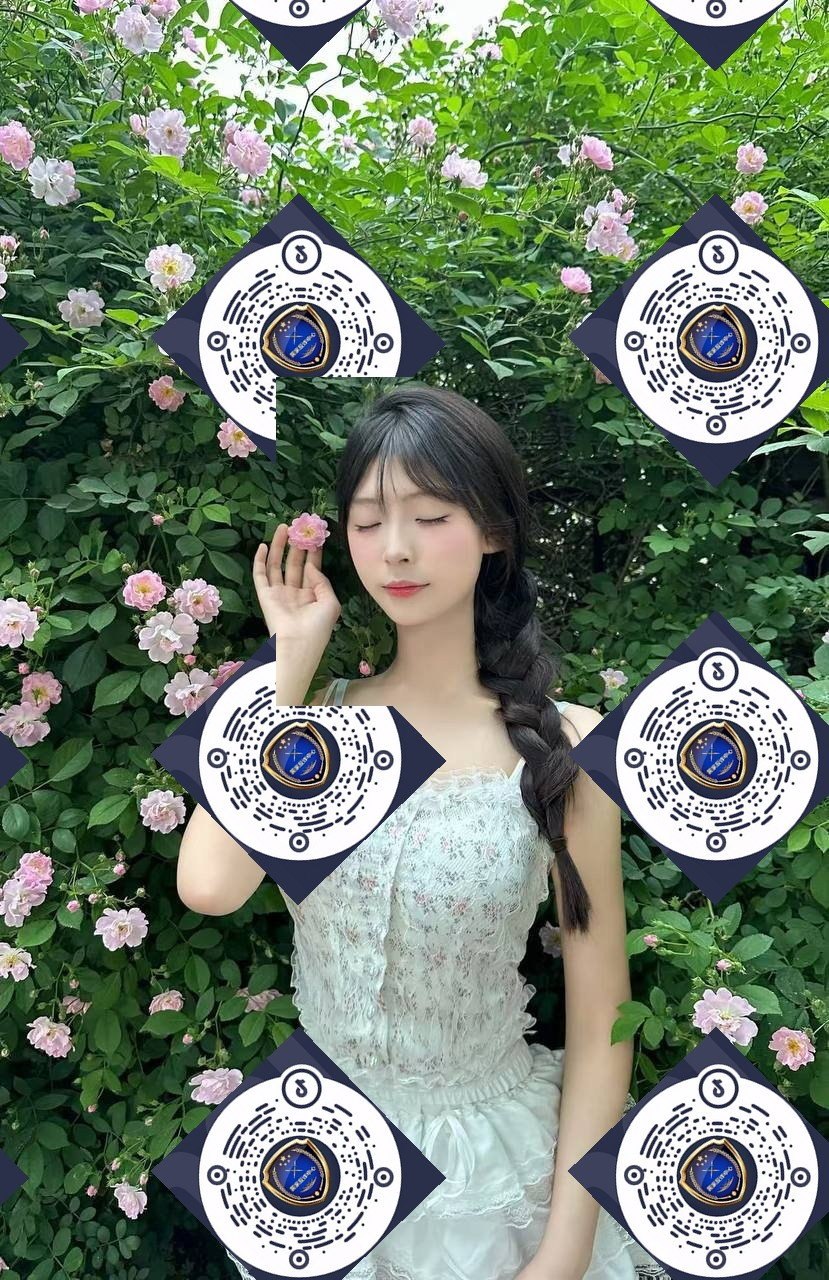 朴朴1063