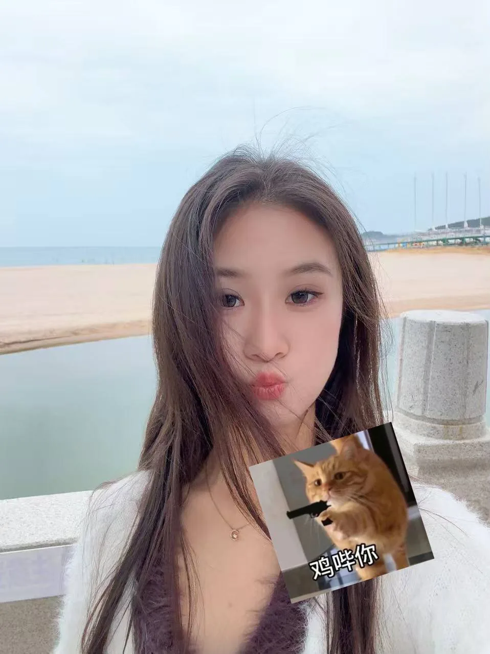 验证视频封面