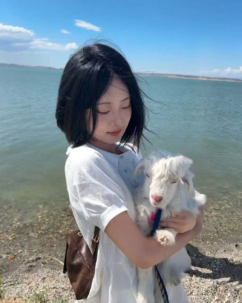 验证视频封面