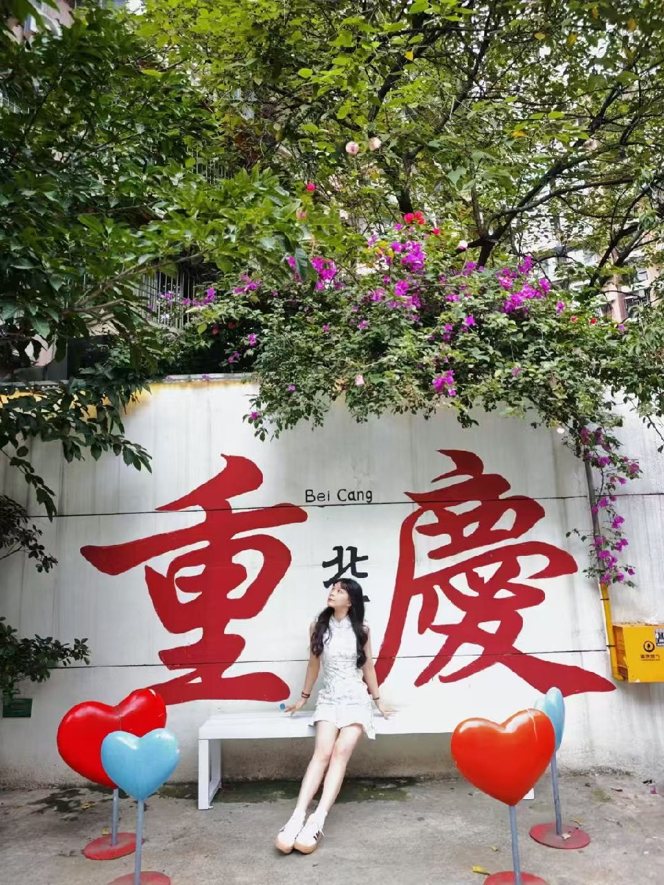 丽L