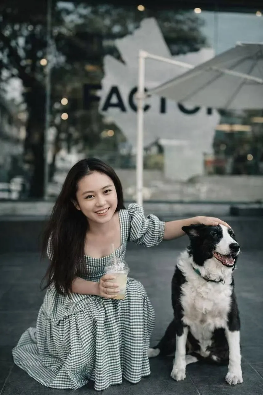 验证视频封面