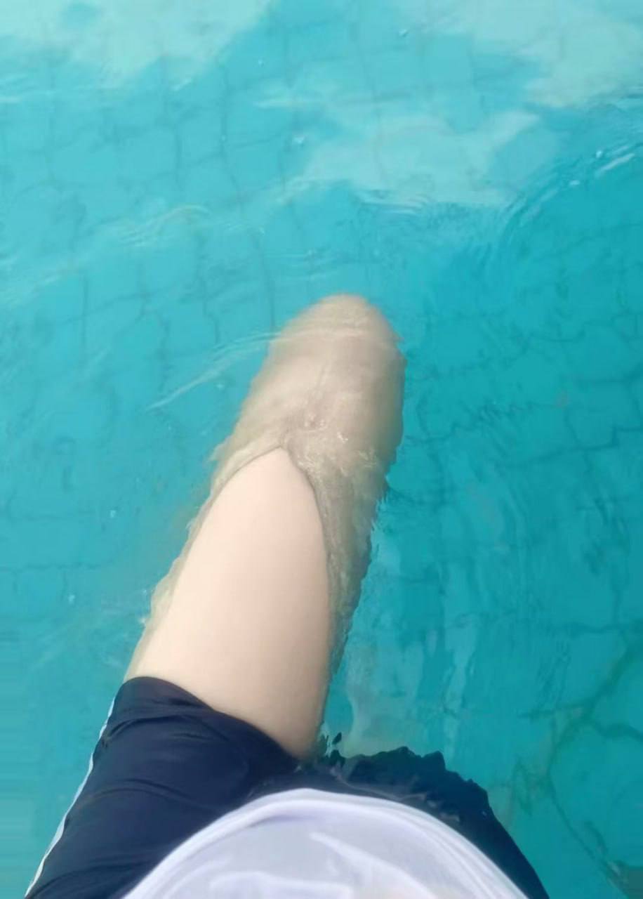 小虾