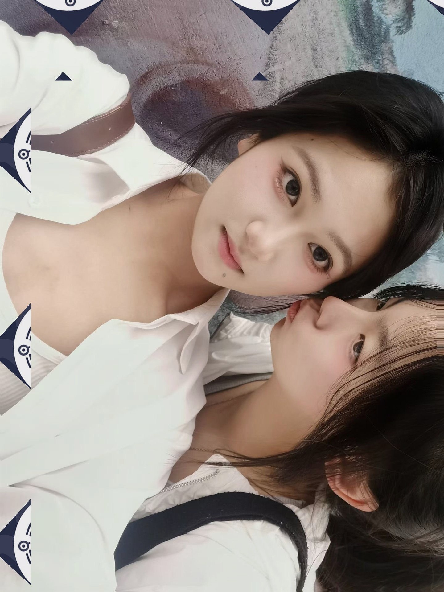 朴朴村长213