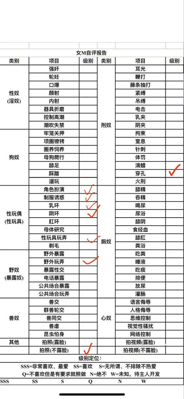 伴友 S20