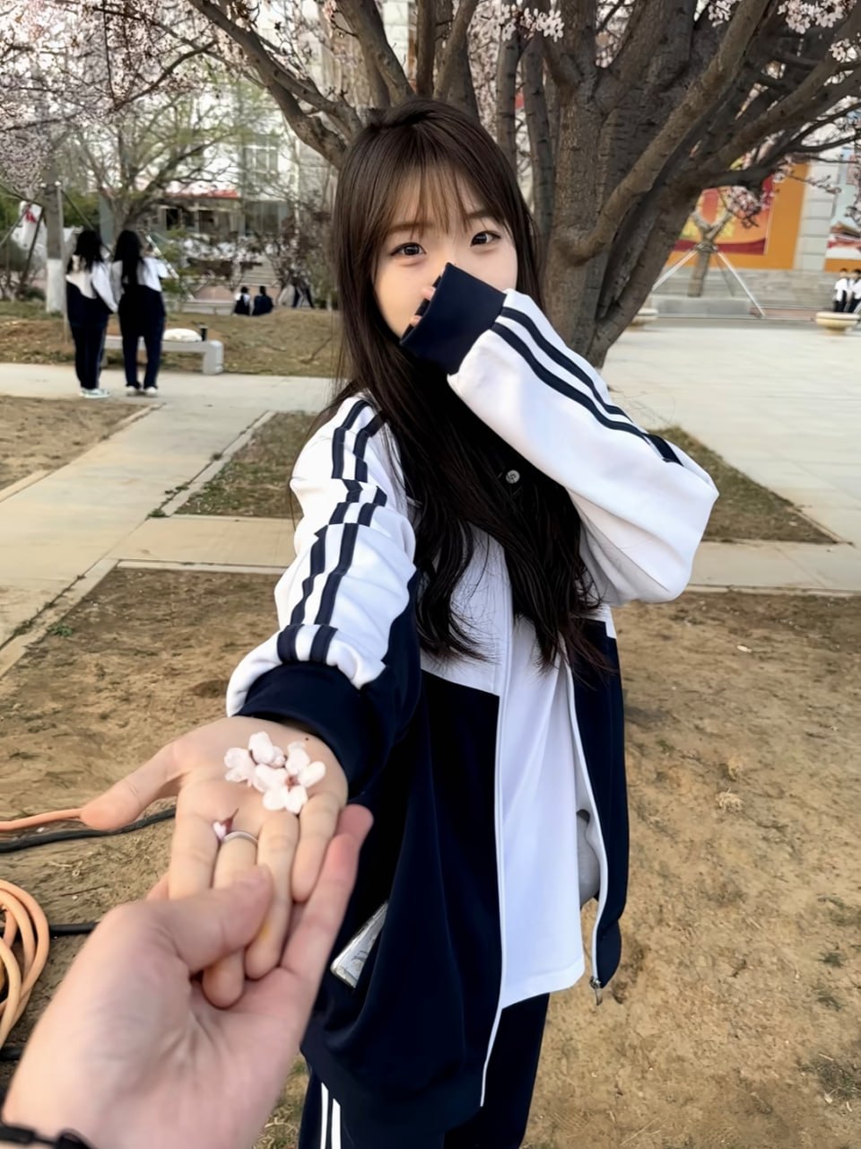 花089