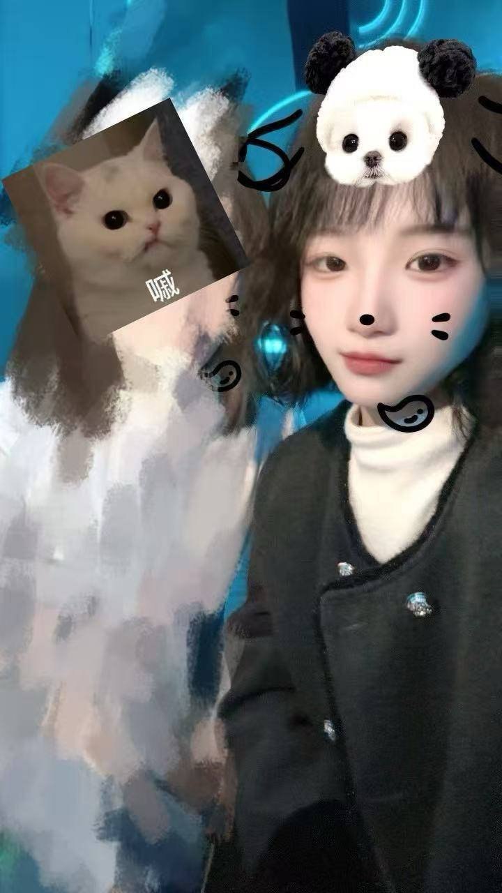 朴朴385