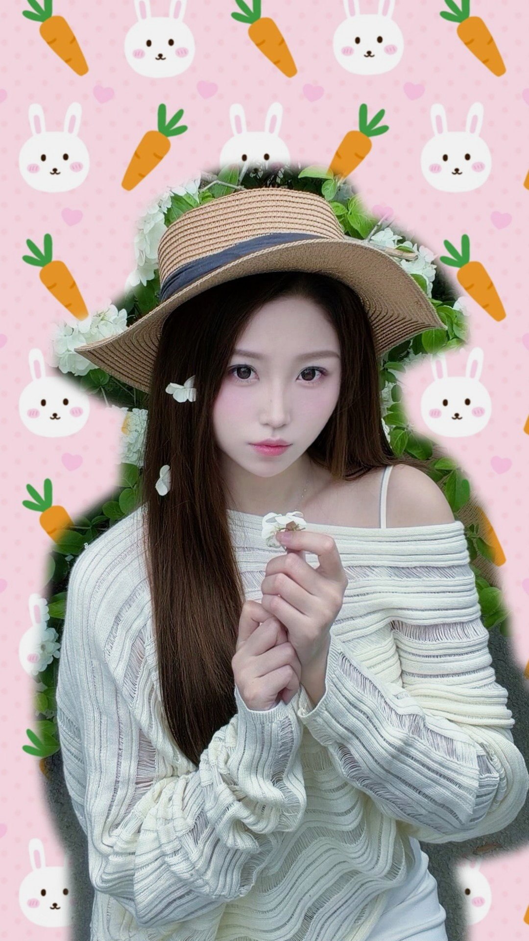 贝贝2