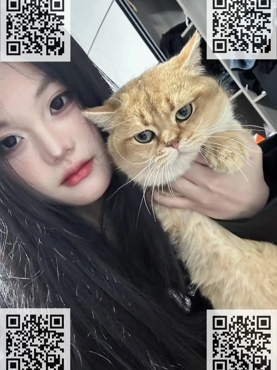 验证视频封面