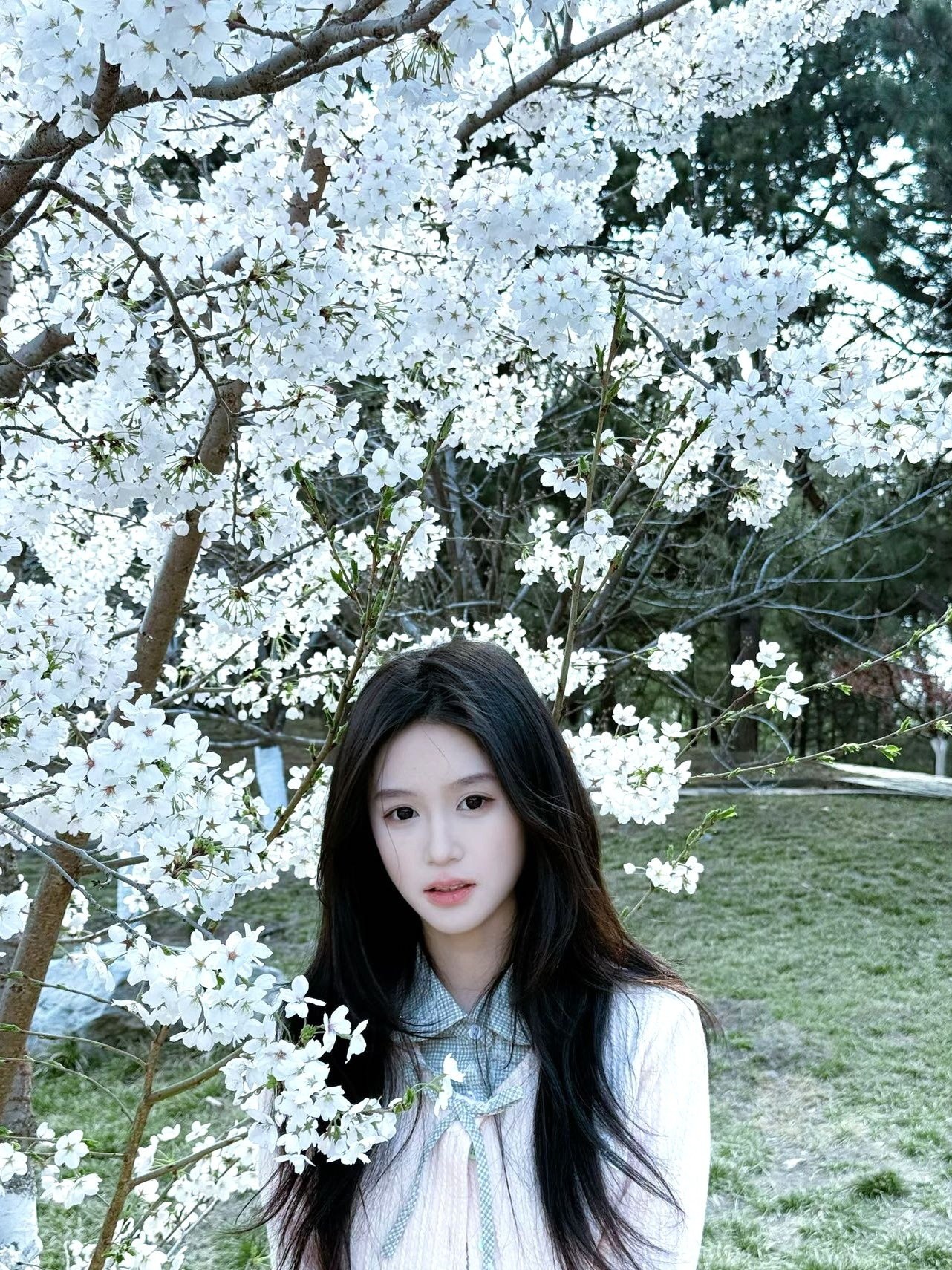 小白