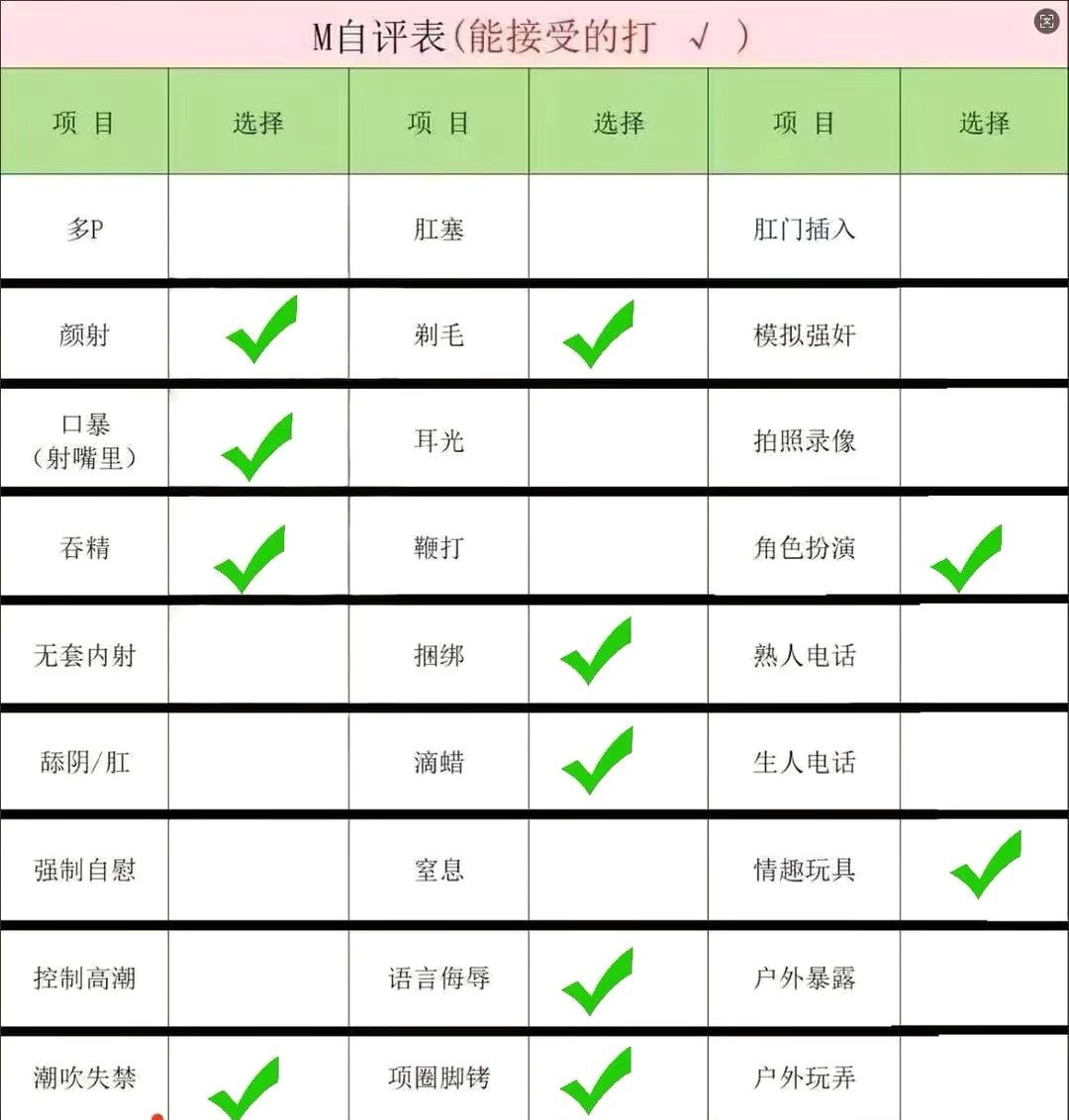 TY-Z1011