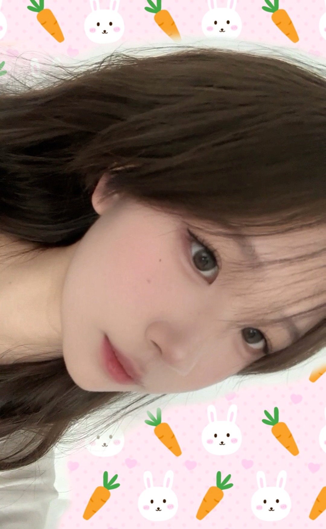 小蝶