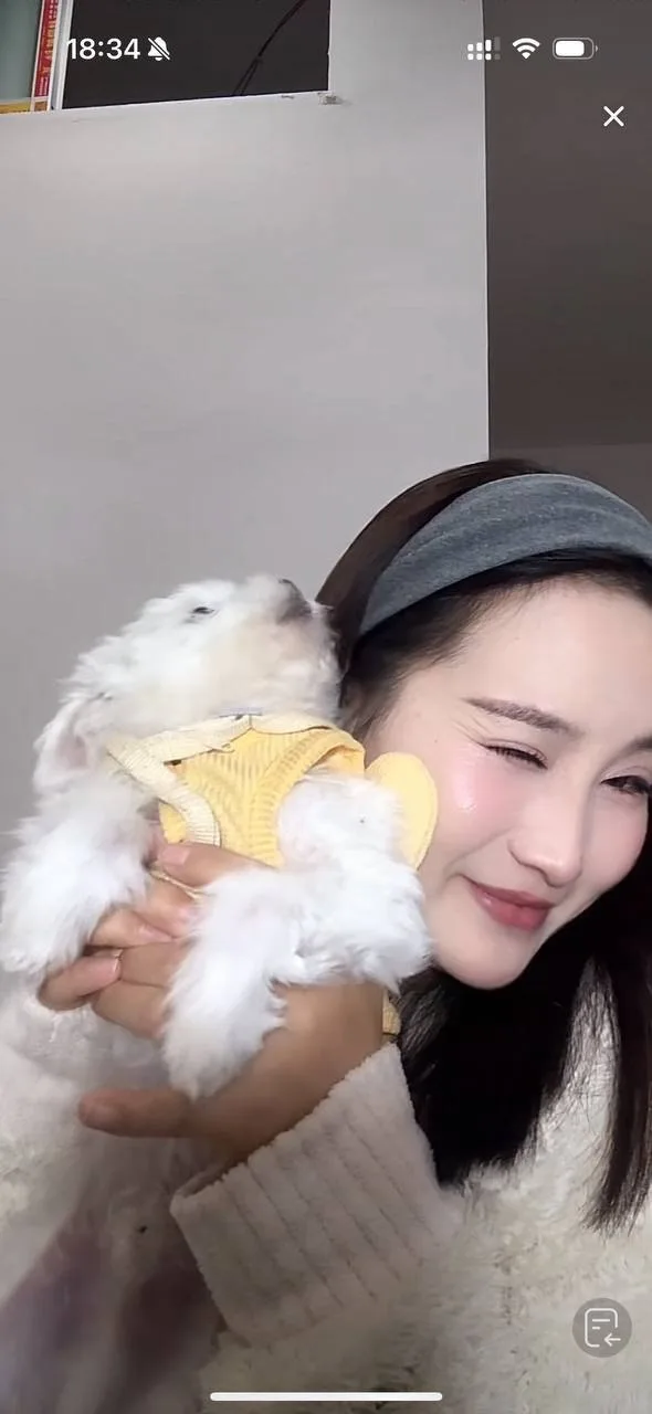 验证视频封面