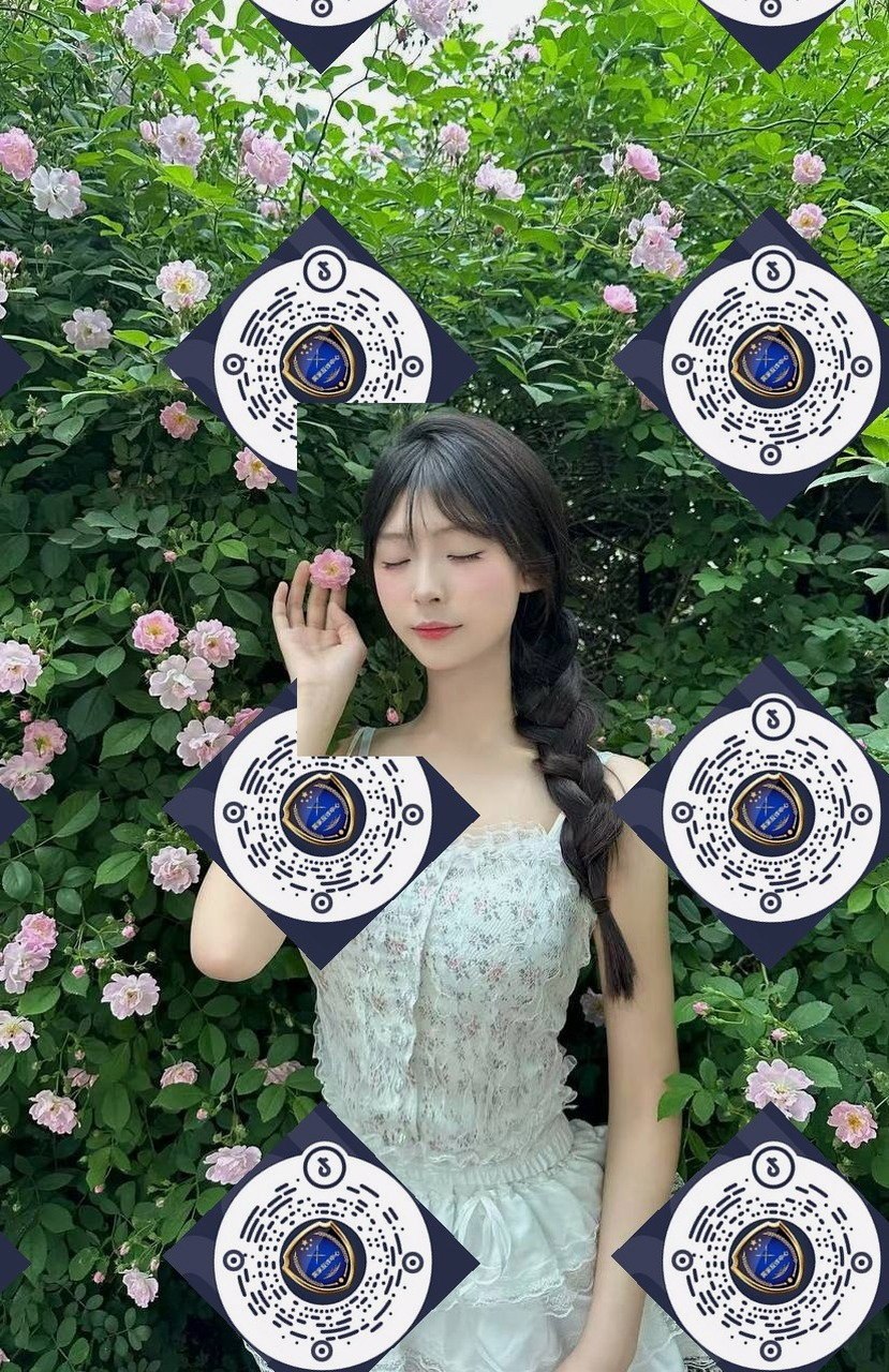 朴朴1063